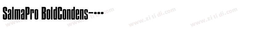 SalmaPro BoldCondens字体转换 SalmaPro BoldCondens字体转换